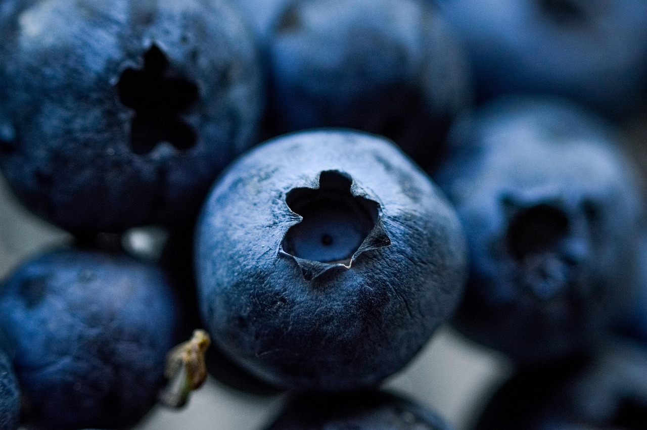 Welche Superfoods stärken wirklich unser Immunsystem?